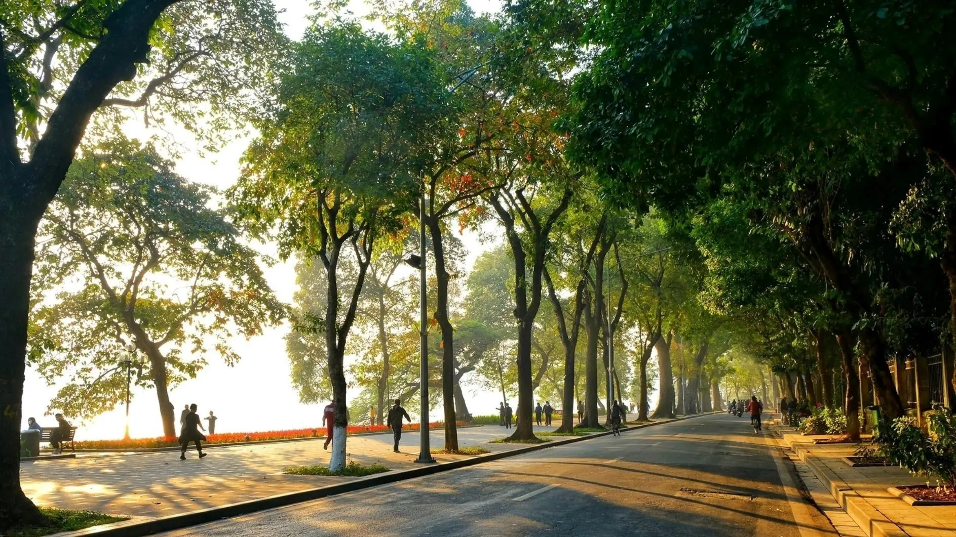 Thời tiết 31/12: Hà Nội mưa nhỏ sáng sớm, ban ngày có nắng nhẹ